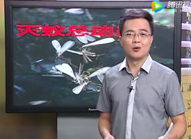 幫助困難家庭義務滅蟲服務